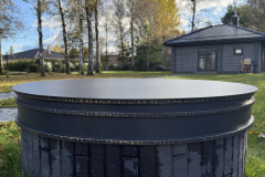 157.-Metalinis-sulinio-dangtis