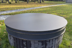 159.-Metalinis-sulinio-dangtis