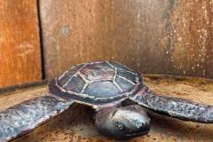 38.-Kalviskas-metalinis-vezliukas