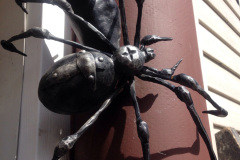 44.-Kalviskas-metalinis-stogelis-virs-duru-su-voru