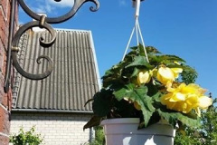 70.-Kalviskas-geliu-vazono-laikiklis