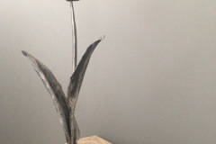 78.-Kalviska-metaline-tulpe