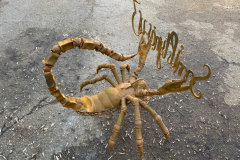 66.-Skulptura-kalviskas-metalinis-skorpionas
