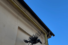 109.-Kalviska-metaline-varna-Ukmergeje-3