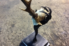 75.-Kalviska-metaline-skulptura