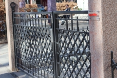 116.-Kalviski-stumdomi-automatiniai-kiemo-vartai-varteliai-ir-metaline-tvora