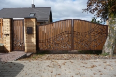 30.-Kalviski-atveriami-automatiniai-kiemo-vartai