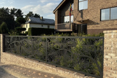 161.-Stumdomi-kiemo-vartai ir tvora-Pusys